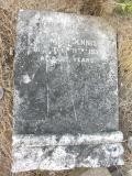 image of grave number 353758